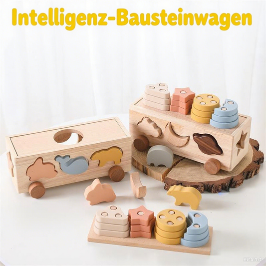 10-in-1 Motorikspielzeug - Spileo