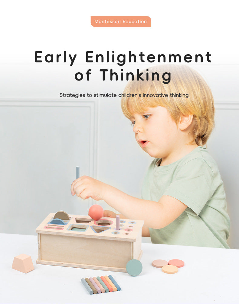 3-in-1 Montessori Lernspielzeug ab 1 Jahr – Holz-Steck- und Sortierspiel mit Aufbewahrungsbox für Farben, Formen und motorische Entwicklung | Sensorik-Spielzeug für Kinder 1–3 Jahre